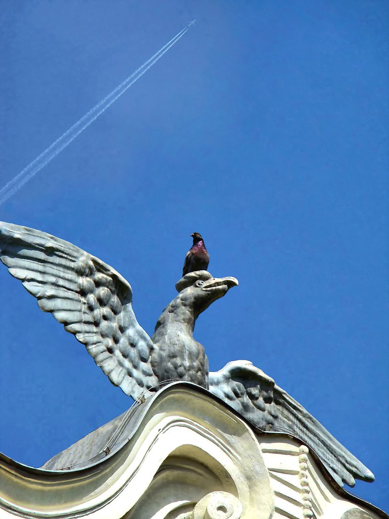 2008.05. Hungary Hódmezõvásárhely, Black Eagle restaurant… Flickr