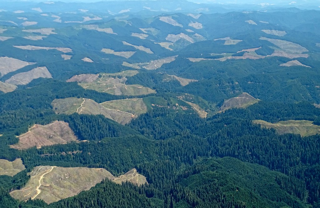 Weyerhaeuser Tree Farm DSC06473 This 209,000 acr… Flickr