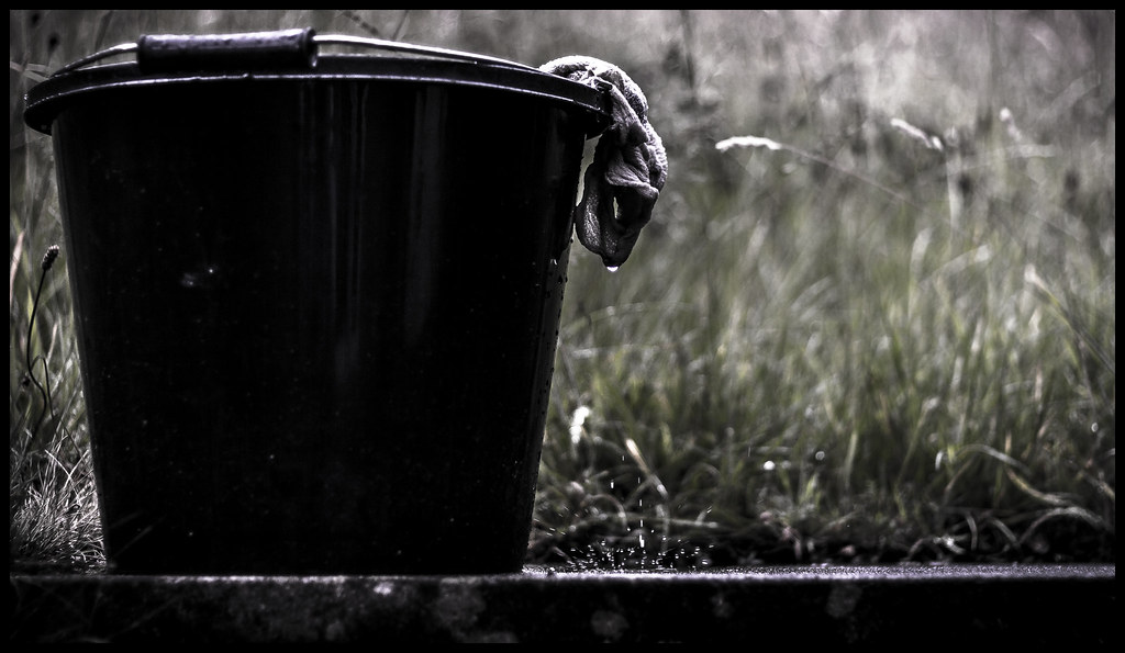week29a Pale/Pail o' water Nathan Browning Flickr