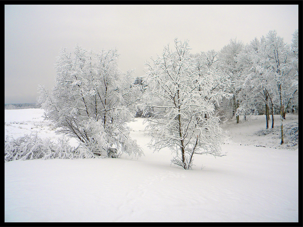Snow 2014 Epsom New Hampshire R Allen Clark Flickr
