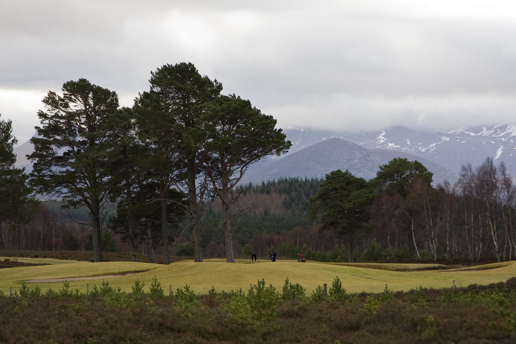 Golf Course Golf Course at Dalfaber, Aviemore with Cairngo… Flickr