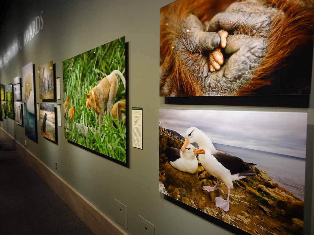 Nature's Best Photography Windland Smith Rice Internation… Flickr