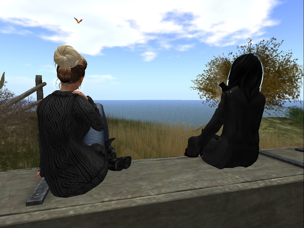 Snapshot Taken at Black Basalt Beach, Brandy Wine Island (… Flickr