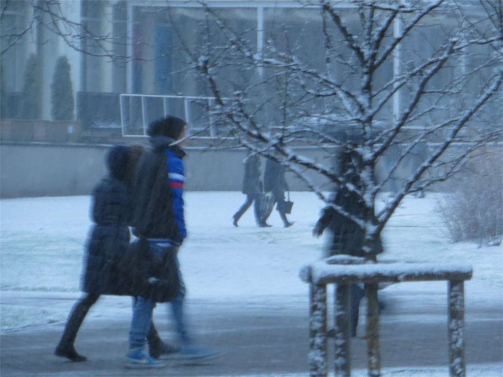 First snow this winter in Riga, Latvia. December 6, 2013 Flickr