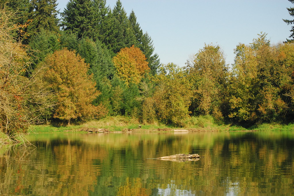 DSC_3282 St. Paul Oregon Darell Michels Flickr