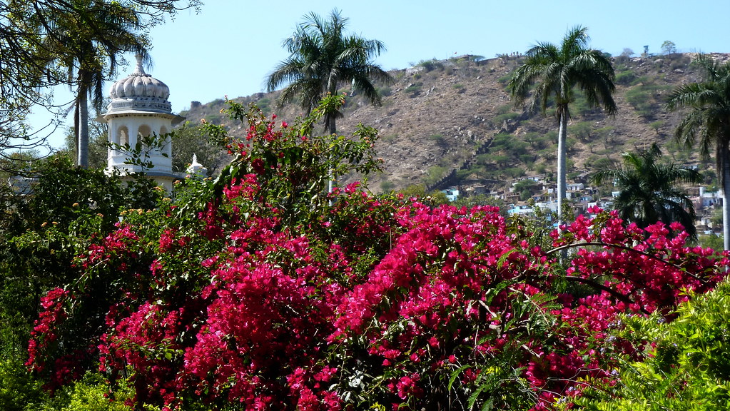 India Rajasthan Udaipur Sajjan Niwas Garden Bougai… Flickr