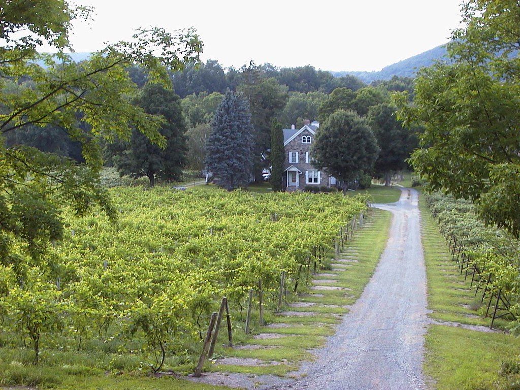 Aut_1231 near Hammondsport, NY Walter Etten Flickr