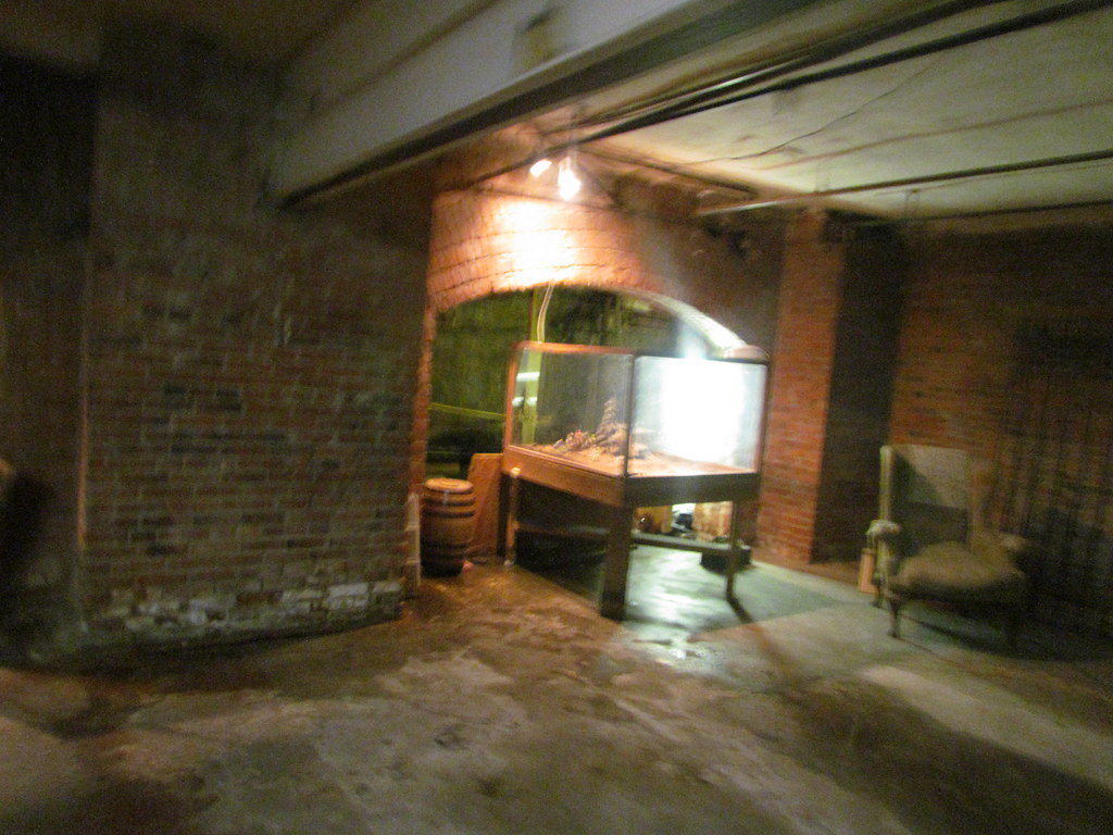 IMG_8573 Bill Speidel’s Underground Tour Andy Nystrom Flickr