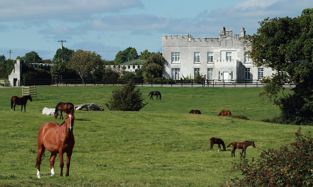 Belmont Stud Taken in Belmont Co Offaly. Wishing all a gre… Flickr