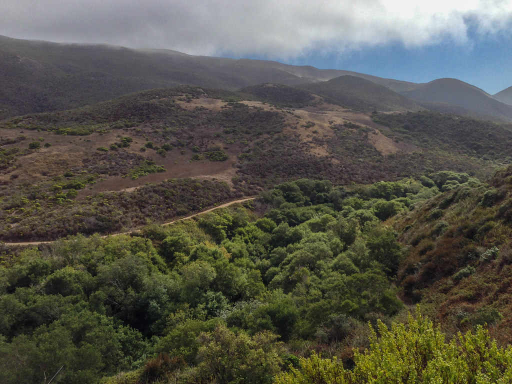 Islay Creek road on the north side of Islay creek from Res… Flickr
