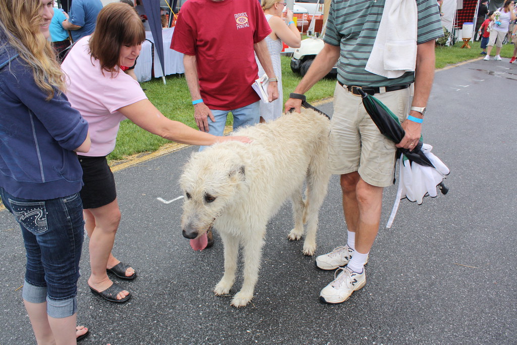 Frederick Celtic Festival Mt. Airy, Maryland May 10, 201… Flickr