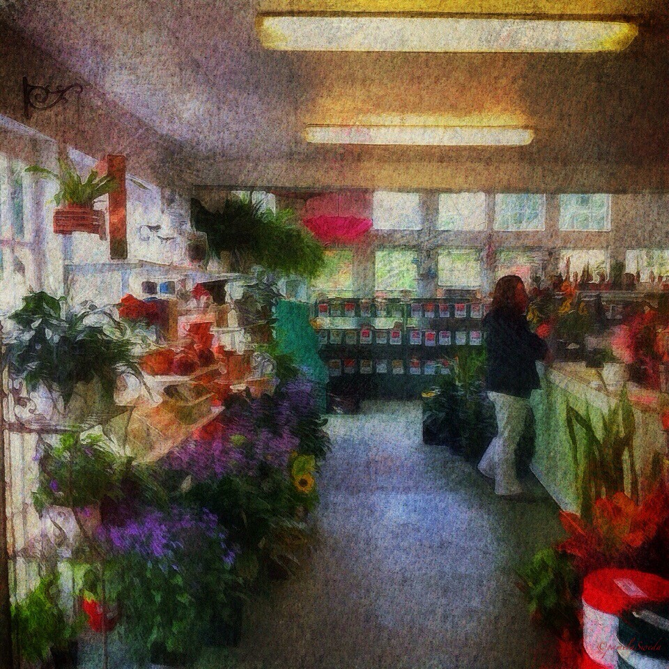 White Flower Farm Litchfield Ct at Steven Graham blog