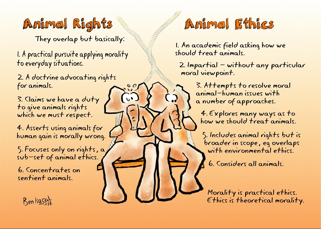 Animal Ethics Flickr
