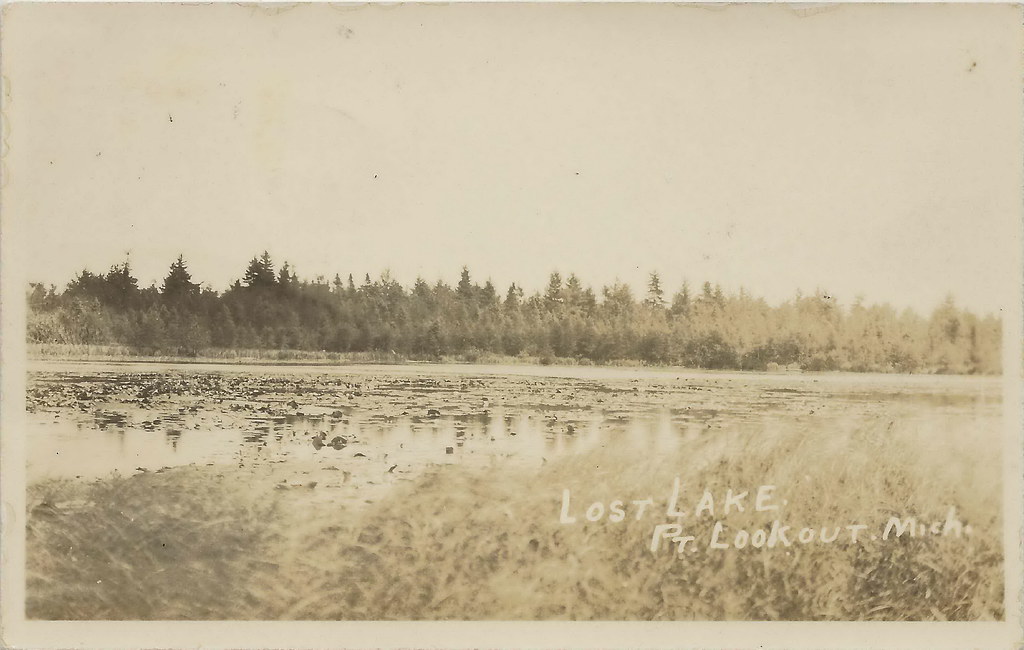 CEN Au Gres Point Lookout MI RPPC 1927 Rare view of Lost L… Flickr