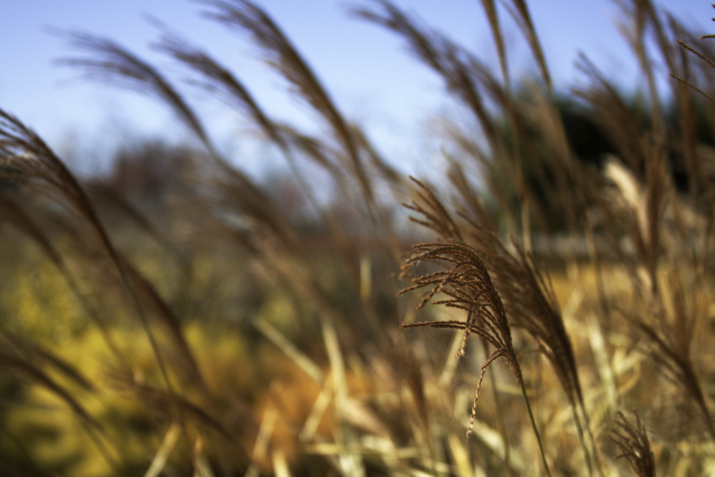Elevation of Pine Grove Mills, PA, USA Topographic Map Altitude Map