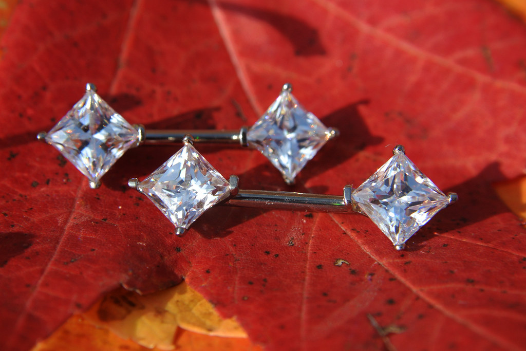 fswetg87 Jewelry and Body Piercing from Pinky's Piercing &… Flickr