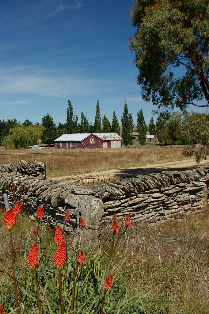 Middlemarch farm (1) Murray's Rd. PhilBee NZ (social historian