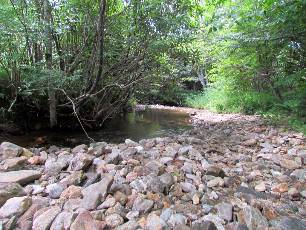 Graveyard Fields Pisgah Nat Forest NC Graveyard Fields Pis… Flickr