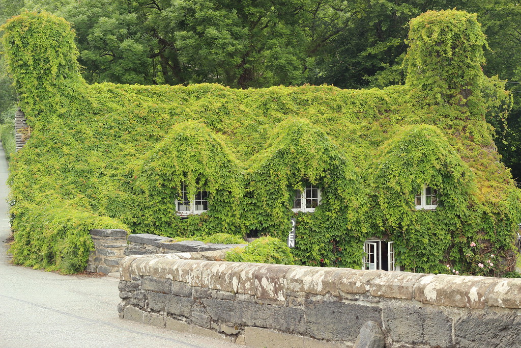 llanrwst tea house garym.jones Flickr