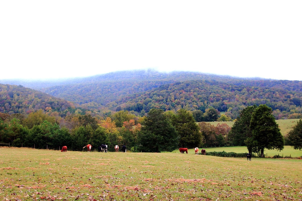 Fog Atop Mountains across the Boxley Valley Northwest Ar… Flickr