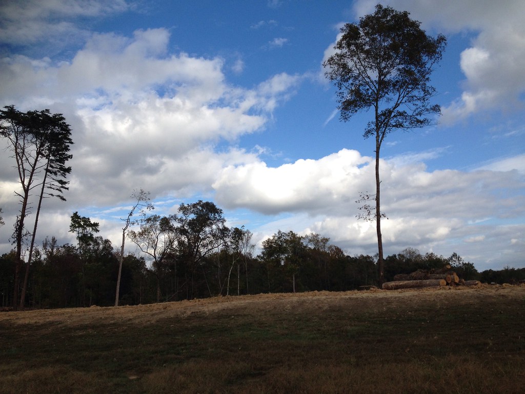 Elevation of Lake Pointe Dr, Yanceyville, NC, USA Topographic Map Altitude Map
