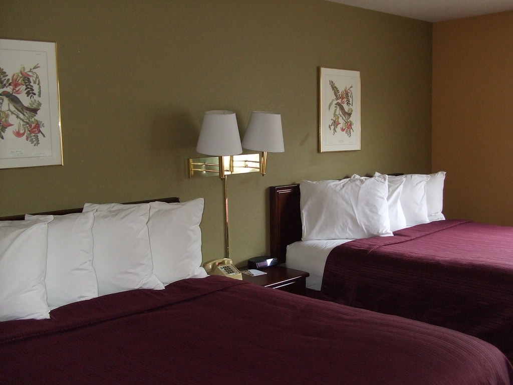 The beds, Room 118, Quality Inn, Wichita Haydn Blackey Flickr