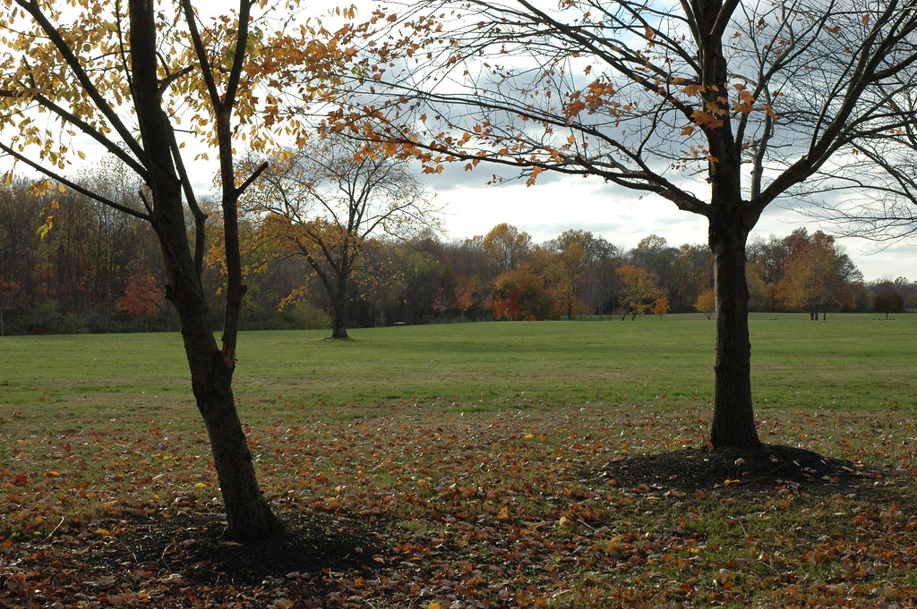 Silence of Heritage Park, Allentown, NJ 040 HeronThere Flickr