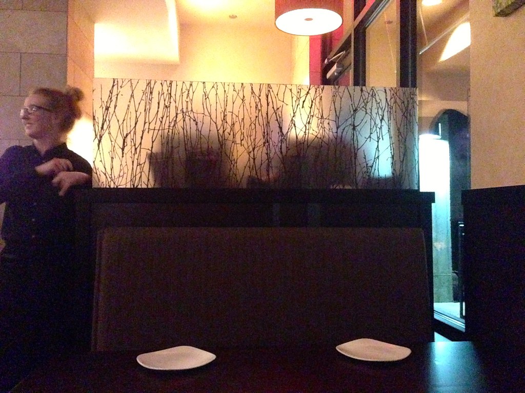 Cooper's Hawk Cincinnati Flickr