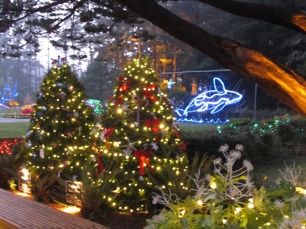 Shore Acres State Park Holiday Lights Flickr