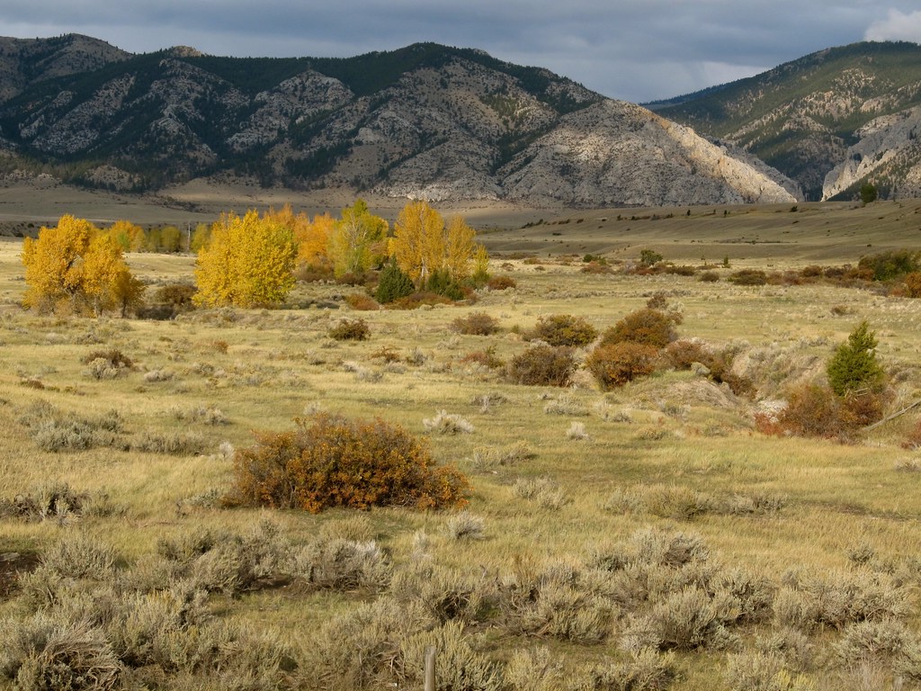 Big Belt Mountains. Montana In Montana. The Big Belt Mount… Flickr
