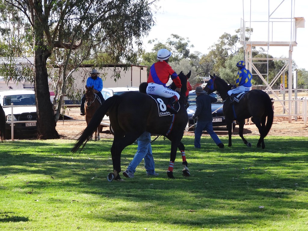 The Size and Variations of Horse Tracks Exploring Track Dimensions and