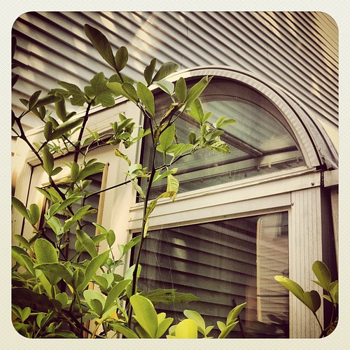 Greenhouse portland maine Elliott Teel Flickr