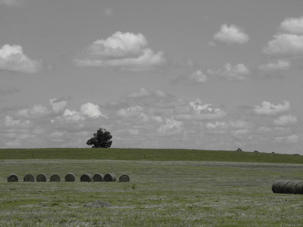Green Grass and High Tides THE REAL fist_pumpr_eveloution Flickr