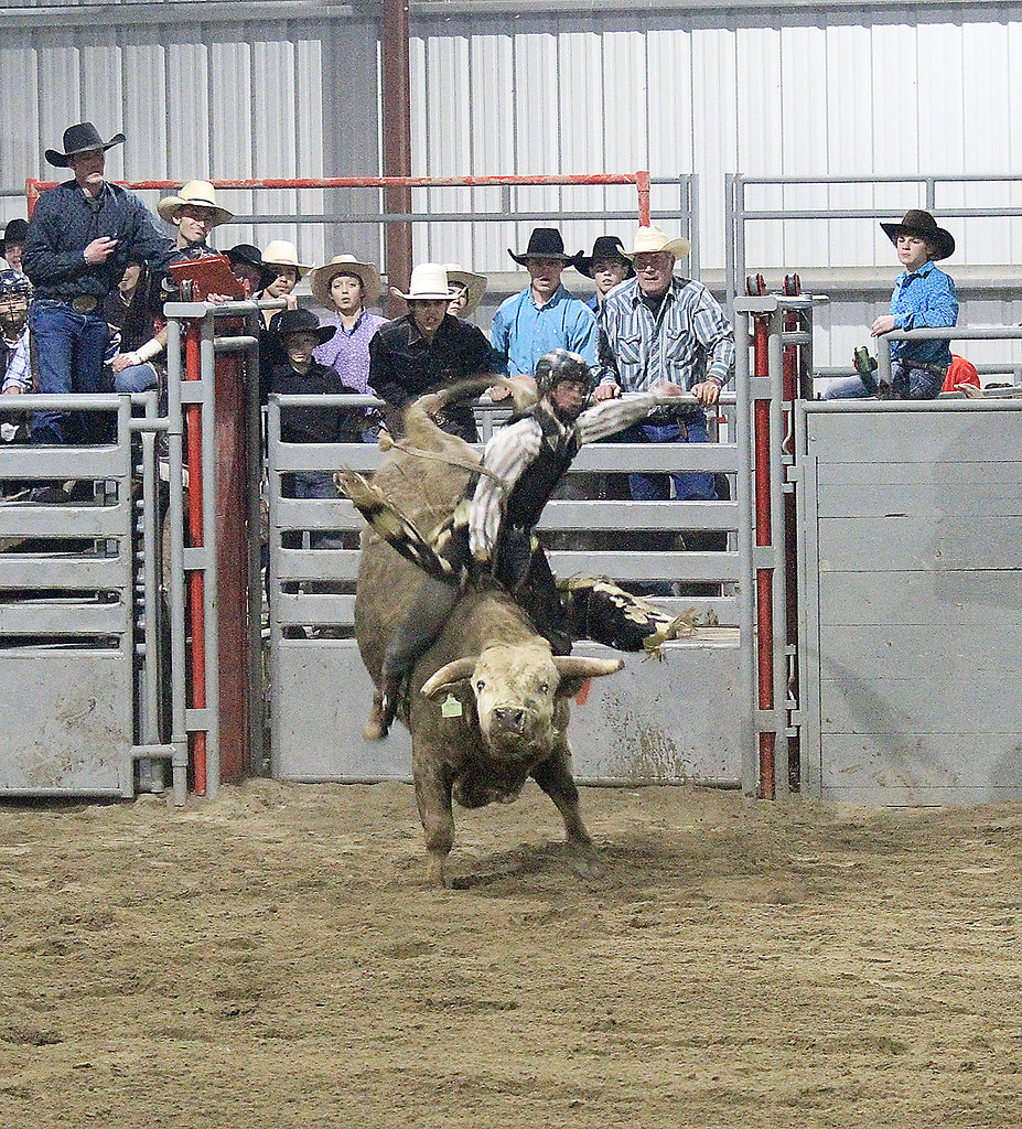 Shay Marks, of Sunnybrook, AB., rides Psycho, to a score o… Flickr