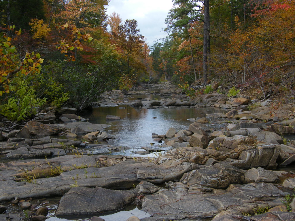 New Creek in Fall colors Mike Coogan Flickr