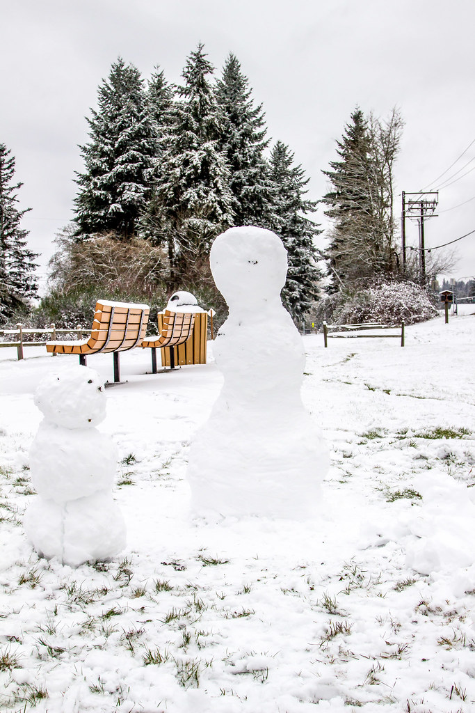 Snow day, Redmond Rachit Bajpai Flickr