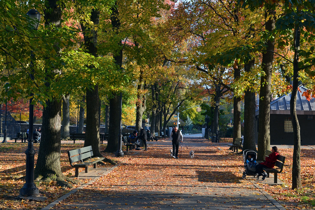Inwood Hills Park Manhattan's northernmost park. Eddie Crimmins