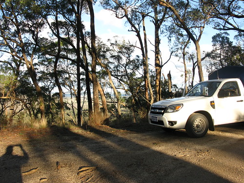 Mount Buangor State Park Vic (2) Doug Rohde Flickr