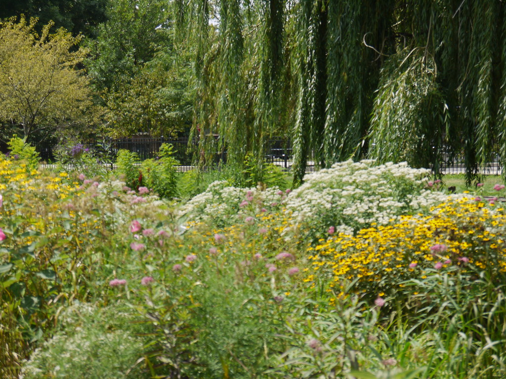 Winnemac Park Lincoln Square's "other" park, Winnemac Park… Flickr