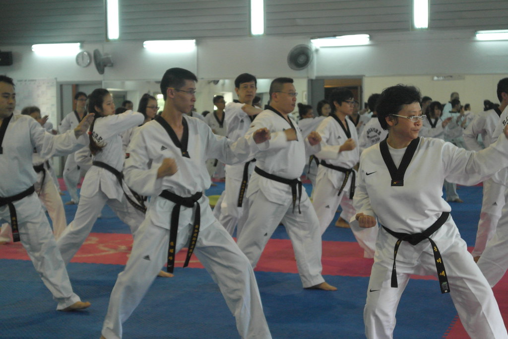NX1K201311203780 PREF2013 Singapore Taekwondo Flickr