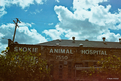 Skokie Animal Hospital Roll 8 Walgreens Studio 35 / ISO 2… Flickr