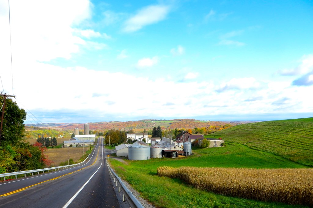 Camillus Farm Munro Road Looking north down Monro Road. Flickr
