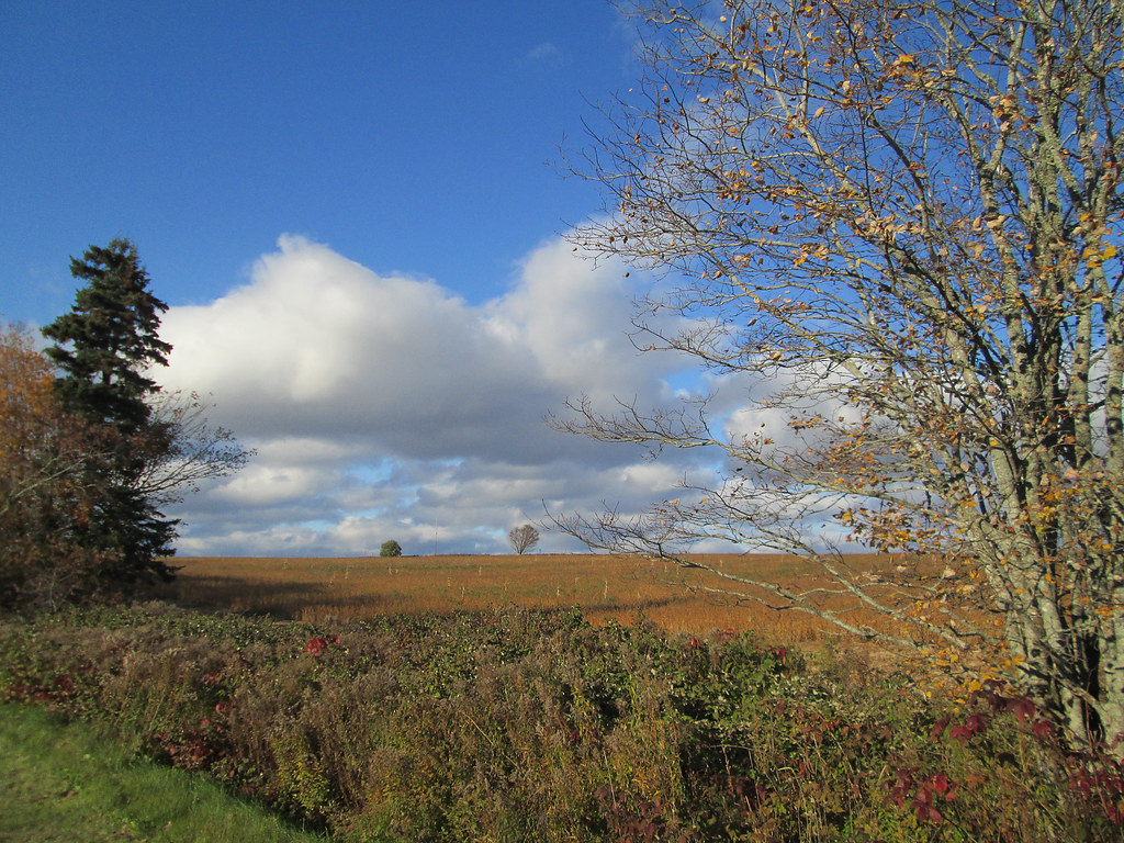 Near Hunter River, PEI October 19, 2013. Confederation Tra… Flickr
