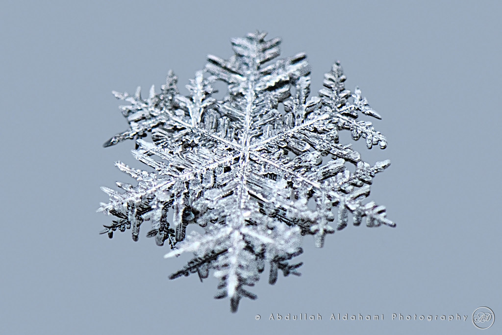 Snowflake (Macro) Body Nikon D800 Lens Nikon AFS VR Mic… Flickr