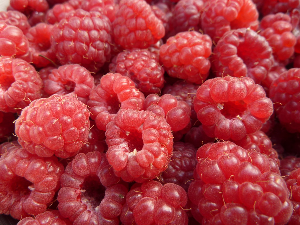 Raspberries First raspberries of the season! Freshly picke… Flickr