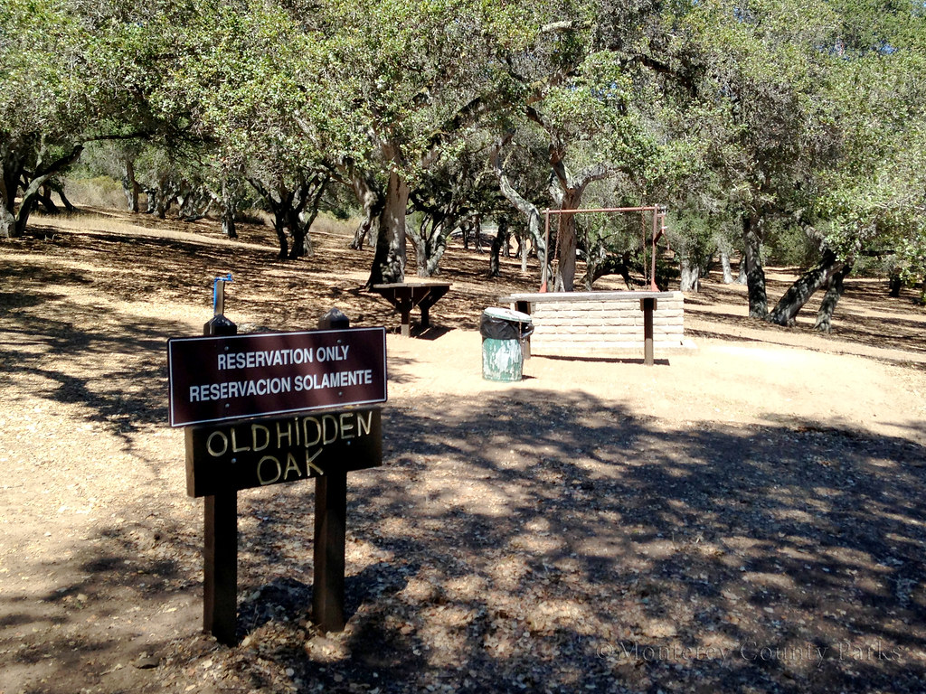 Old Hidden Oak Royal Oaks Park. Prunedale, CA, USA ©Monter… Flickr