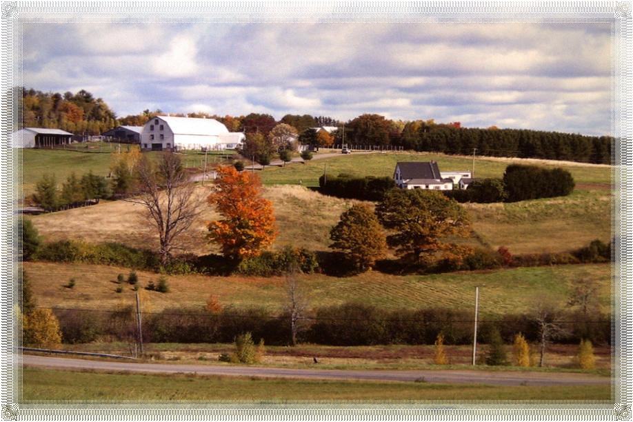 near CambridgeNarrows Autumn comes to rural New Brunswick… Flickr