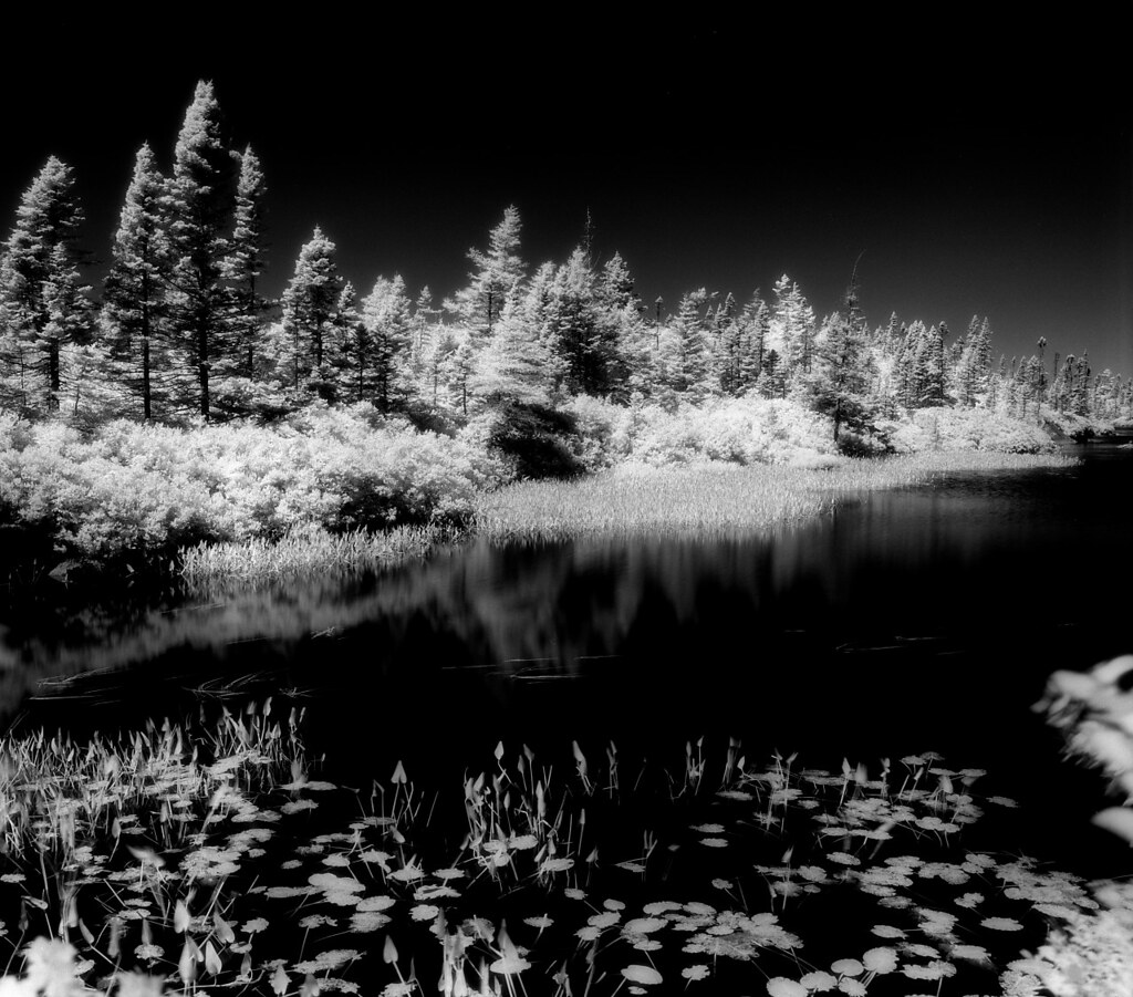 Big Lake Big Lake polyglot Flickr