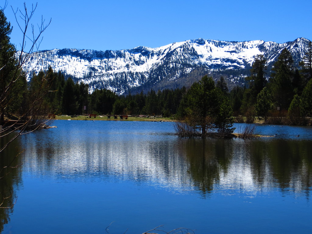 Spring 2013, Sawmill Pond, South Lake Tahoe, CA Photo Cred… Flickr