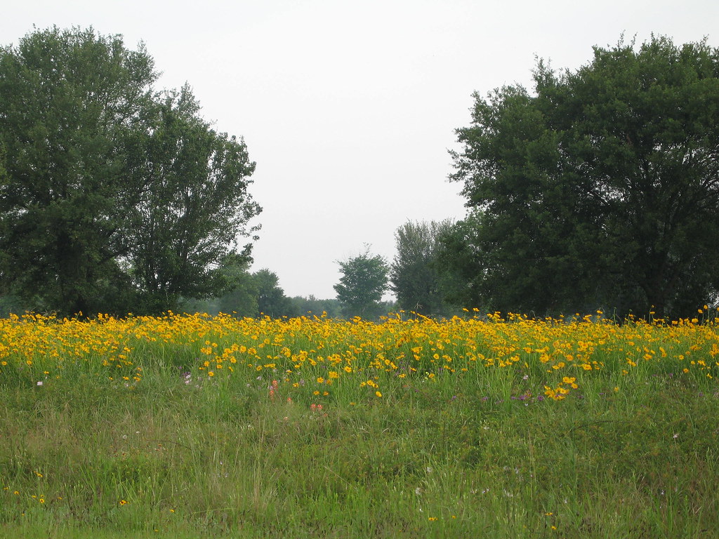 Elevation of Warda, TX, USA Topographic Map Altitude Map